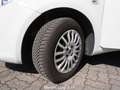 Fiat Punto 1.2 69cv 5 porte Street Alb - thumbnail 12