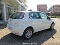 Fiat Punto 1.2 69cv 5 porte Street Alb - thumbnail 3
