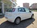 Fiat Punto 1.2 69cv 5 porte Street Alb - thumbnail 14