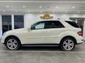 Mercedes-Benz ML 350 CDI 4Matic Ahk/Standheizung/Airmatic/GSHD Weiß - thumbnail 11