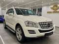 Mercedes-Benz ML 350 CDI 4Matic Ahk/Standheizung/Airmatic/GSHD Weiß - thumbnail 6