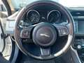Jaguar XF 20d Prestige Aut. (EXPORT ODER WIEDERVERKÄUFER ... Weiß - thumbnail 10