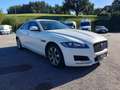 Jaguar XF 20d Prestige Aut. (EXPORT ODER WIEDERVERKÄUFER ... Weiß - thumbnail 3