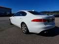 Jaguar XF 20d Prestige Aut. (EXPORT ODER WIEDERVERKÄUFER ... Weiß - thumbnail 6