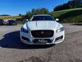 Jaguar XF 20d Prestige Aut. (EXPORT ODER WIEDERVERKÄUFER ... Weiß - thumbnail 2
