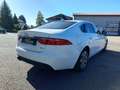 Jaguar XF 20d Prestige Aut. (EXPORT ODER WIEDERVERKÄUFER ... Weiß - thumbnail 4