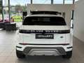 Land Rover Range Rover Evoque 2,0 D150 Aut.*Allrad*Panorama*Surround-Kamera*ACC Weiß - thumbnail 6