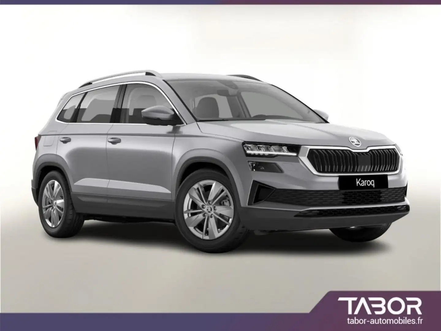 Skoda Karoq TDI 150 DSG Selec GPS LED WinterP Argent - 1