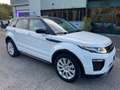 Land Rover Range Rover Evoque Range Rover Evoque 2.0 TD4 150 CV 5p.*Catena Fatta Weiß - thumbnail 3