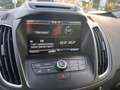 Ford C-Max C-MAX Titanium,AUTOMATIK,PDC,SCHECKHEFT Gold - thumbnail 13