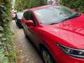 Nissan Qashqai Qashqai 1.2 DIG-T N-Connecta Červená - thumbnail 14
