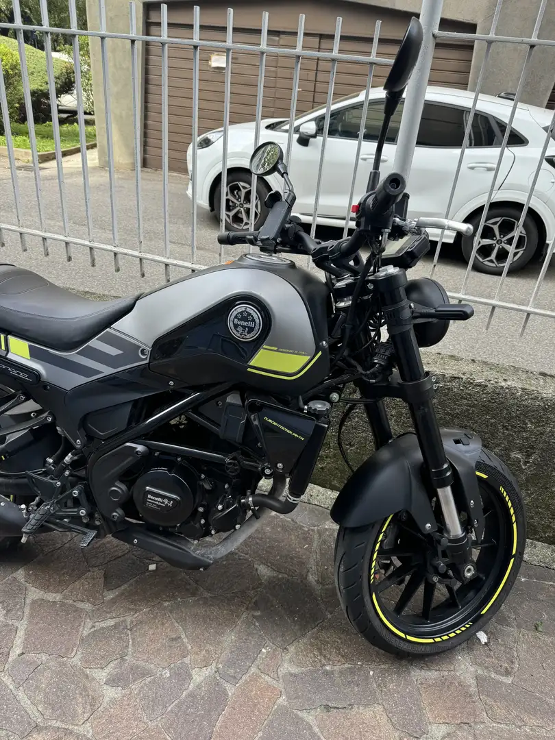 Benelli Leoncino - 1