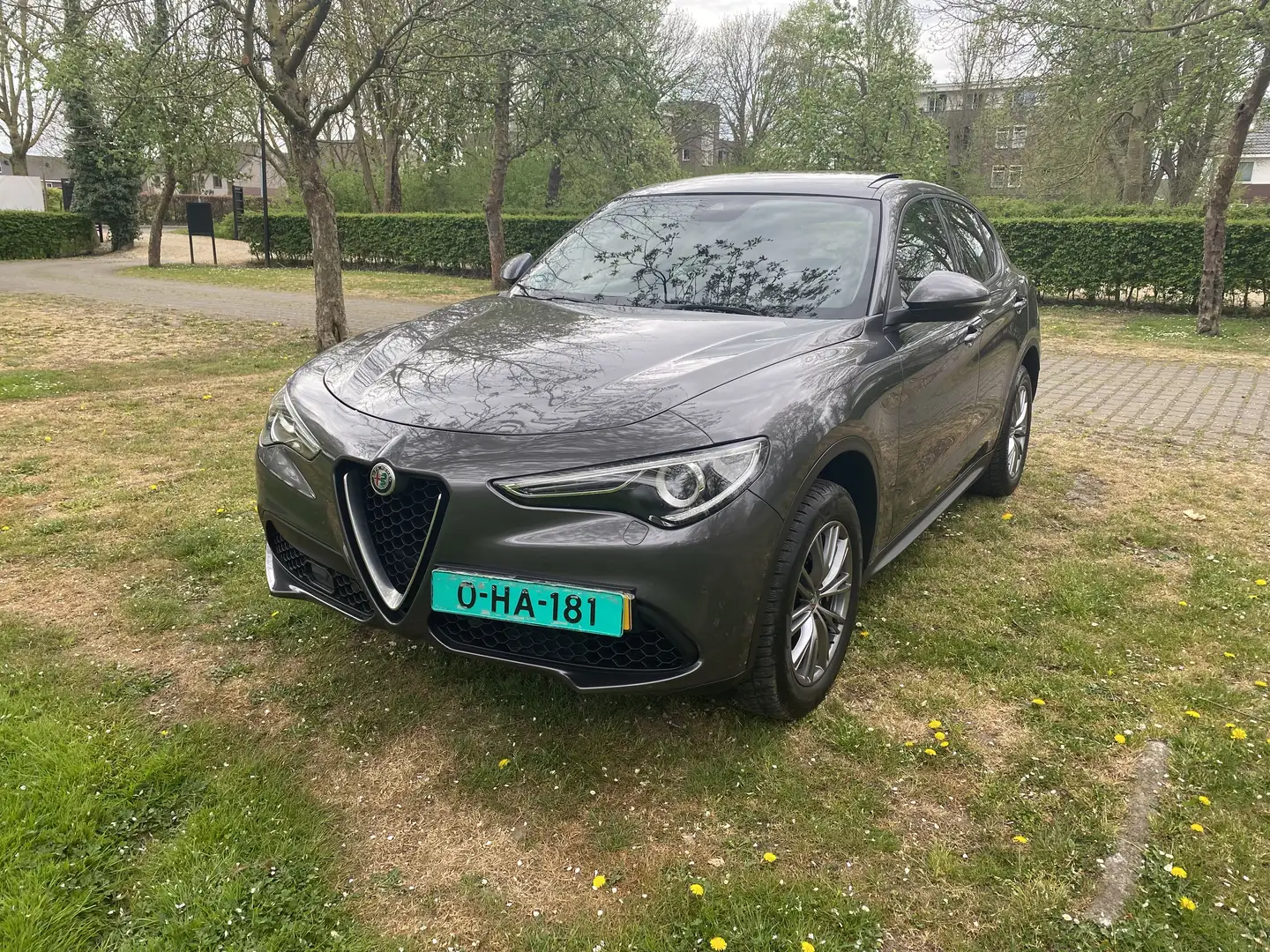 Alfa Romeo Stelvio 2.0 T AWD Spec. Edition in nieuwstaat Grey - 1