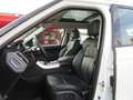 Land Rover Range Rover Sport 3.0SDV6 HSE Dynamic 306 Aut. Bianco - thumbnail 8