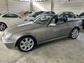 Mercedes-Benz SLK 200 k Evo - thumbnail 7