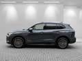Volkswagen Tiguan TDI DSG 4M Life neuesModell+Design+ParkAss+Keyless Gris - thumbnail 3