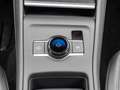 Volkswagen Tiguan TDI DSG 4M Life neuesModell+Design+ParkAss+Keyless Gris - thumbnail 12