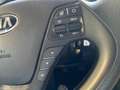 Kia Ceed / cee'd 1.0 T-GDI Eco-Dynamics Drive 100 Blanco - thumbnail 31