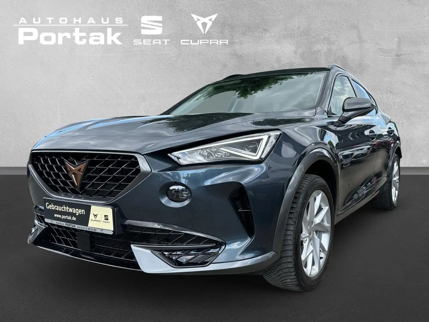 CUPRA Formentor 1.5 TSI 6-Gang Kamera/Full Link/LED/Winter Gris - 2