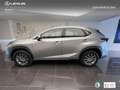 Lexus NX 300 300h Business Navigation 2WD - thumbnail 3