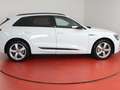 Audi e-tron S-Line 55 399,-ohne Anzahlung Navi AHK Head-Up Weiß - thumbnail 24