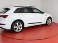 Audi e-tron S-Line 55 399,-ohne Anzahlung Navi AHK Head-Up Weiß - thumbnail 22