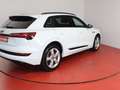 Audi e-tron S-Line 55 399,-ohne Anzahlung Navi AHK Head-Up Weiß - thumbnail 21