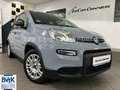 Fiat Panda 1.0 Hybrid Base*14.092KM*DAB*Bluetooth*EU6 Gris - thumbnail 1