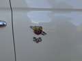 Abarth 595 Turismo 1.4 Turbo T-Jet 165 CV Turismo Blanc - thumbnail 25