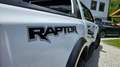 Ford Ranger Raptor Weiß - thumbnail 8