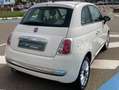 Fiat 500 500 1.3 mjt Lounge 95cv Bianco - thumbnail 7