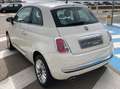 Fiat 500 500 1.3 mjt Lounge 95cv Bianco - thumbnail 6
