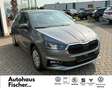 Skoda Fabia 1.0 MPI Selection Grau - thumbnail 7