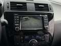 Nissan Pulsar N-Connecta Braun - thumbnail 12