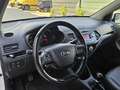 Kia Picanto 1.0 CVVT X-treme 1e eig NL-auto NAP Blanc - thumbnail 8