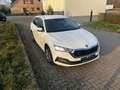 Skoda Octavia Combi Style iV 1.Hand 117TKM Scheckheft Bianco - thumbnail 4