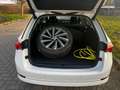Skoda Octavia Combi Style iV 1.Hand 117TKM Scheckheft Bianco - thumbnail 6