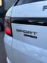Land Rover Range Rover Sport 2.0 Si4 PHEV HSE 404 Blanco - thumbnail 7