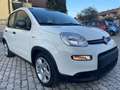 Fiat Panda 1.0 firefly hybrid AZIENDALE NO VINCOLI !!! Wit - thumbnail 4