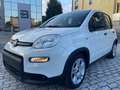 Fiat Panda 1.0 firefly hybrid AZIENDALE NO VINCOLI !!! Wit - thumbnail 1