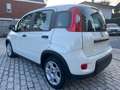 Fiat Panda 1.0 firefly hybrid AZIENDALE NO VINCOLI !!! Wit - thumbnail 3