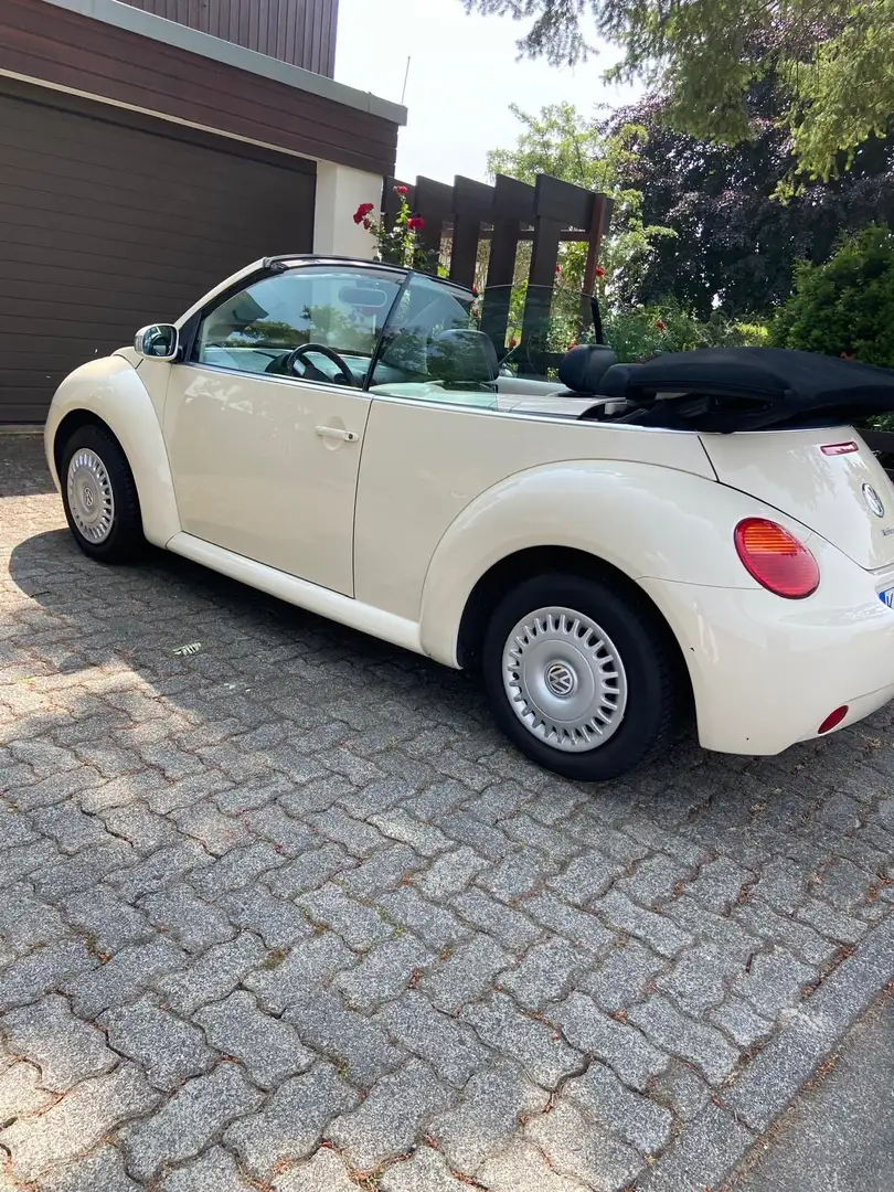 Volkswagen Beetle Beige - 2