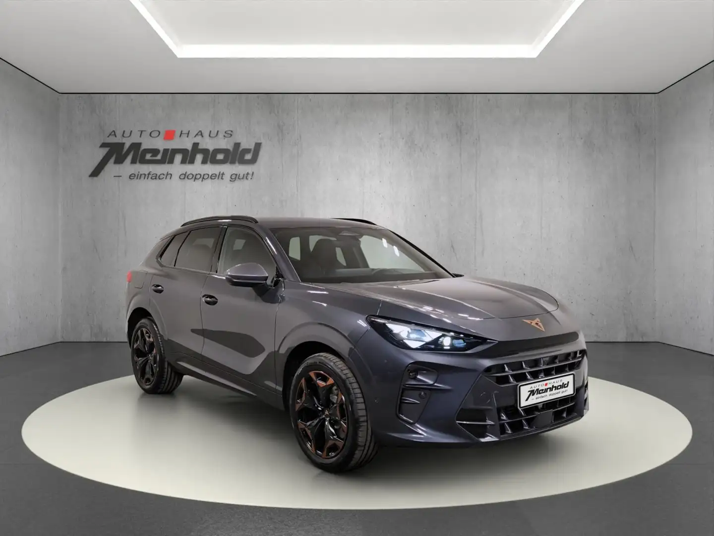 CUPRA Terramar 2.0 TSI DSG 4Drive, EDGE Paket, Standh. Grau - 2