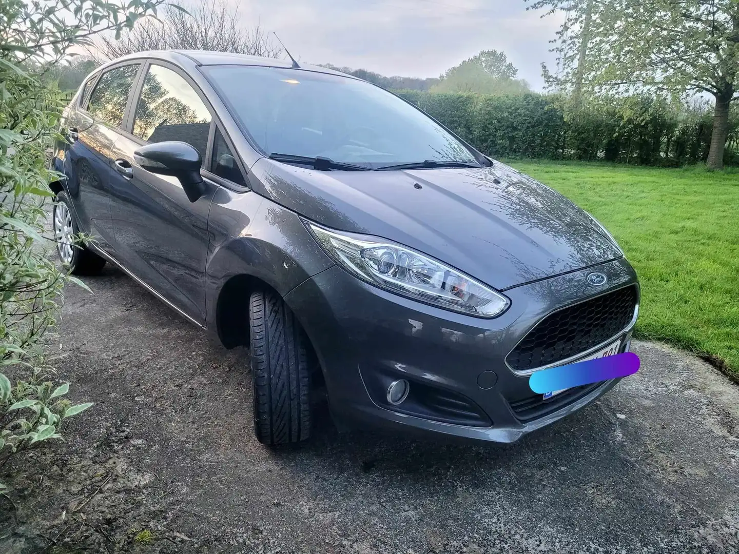 Ford Fiesta 1.0i Trend Gris - 1
