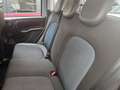 Fiat New Panda Panda 1.0 hybrid Launch Edition 70cv cross Zöld - thumbnail 12