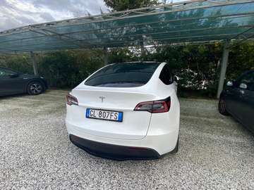 Model Y Single Motor rwd