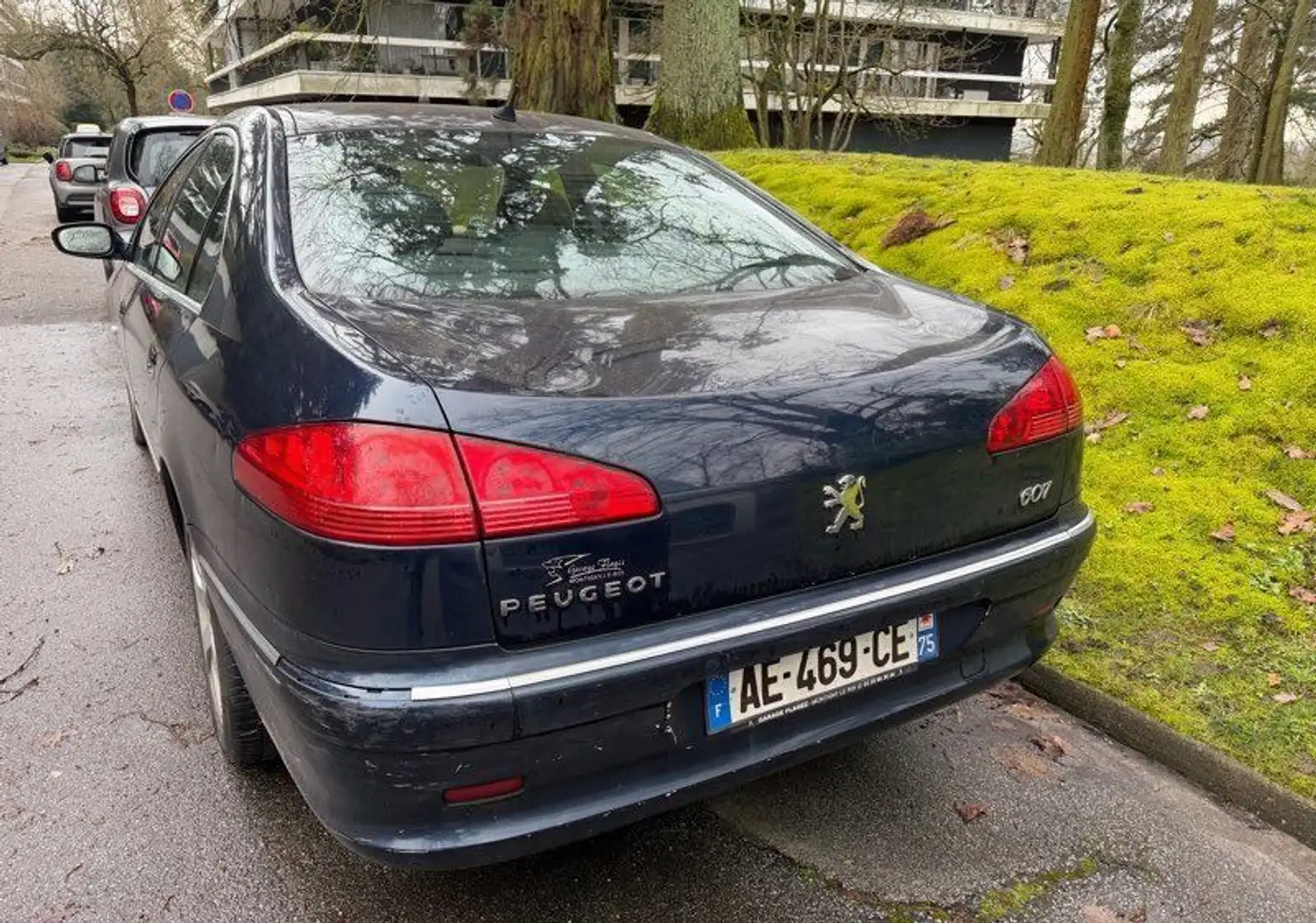 Peugeot 607 v6 hdi féline diesel Blau - 2