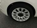 Fiat 500 Cabrio Star Weiß - thumbnail 6