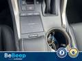 Lexus NX 300h 300H 2.5 EXECUTIVE 4WD CVT Grigio - thumbnail 14