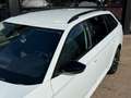 Skoda Superb Combi 1.8 TSI Ambition Business Wit - thumbnail 3
